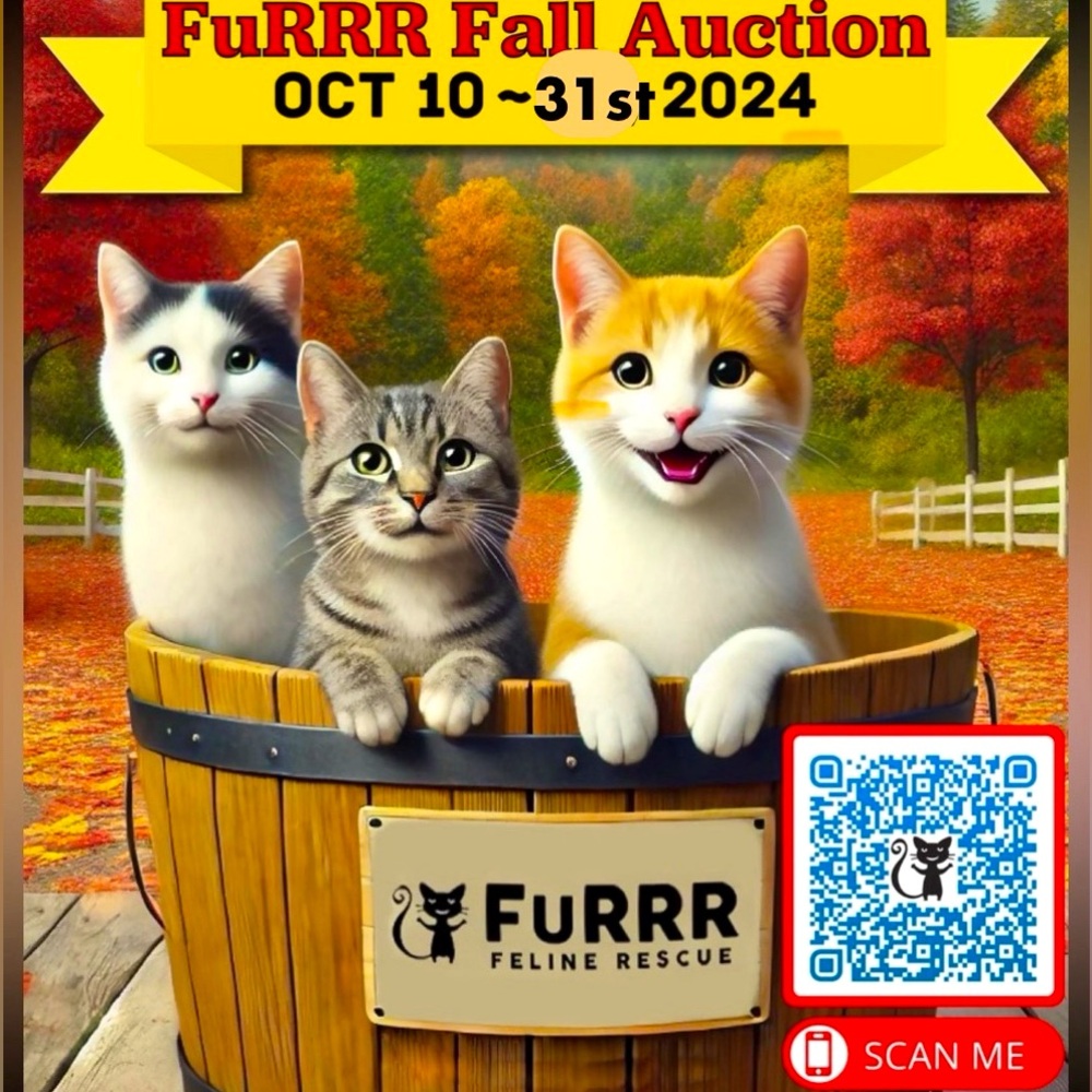 The rescue I volunteer at is having our fall auction! Please check it out!